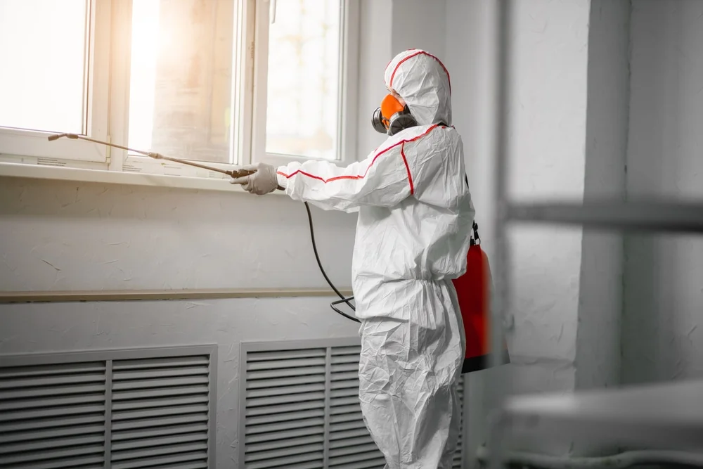 Professional mold remediation services in Perry, FL